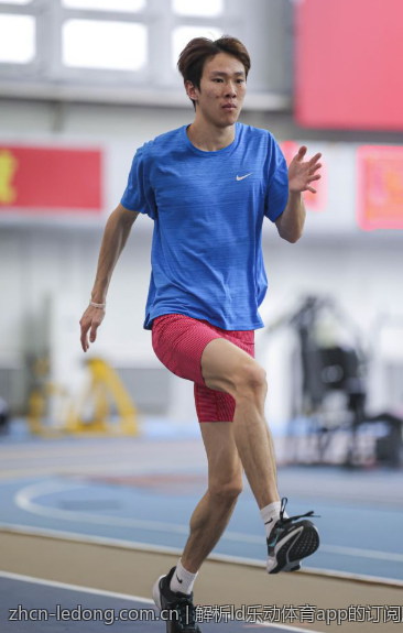 解析ld乐动体育app的订阅服务与使用价值