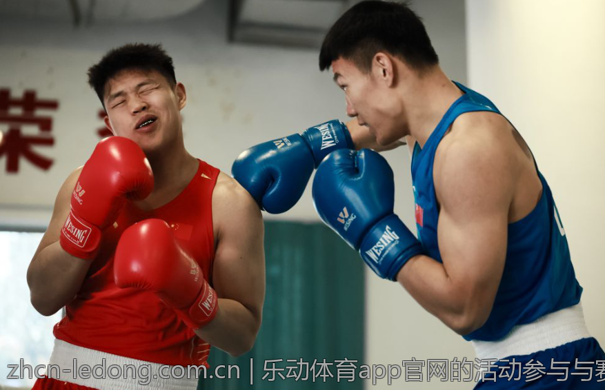 乐动体育app官网的活动参与与赛事互动体验